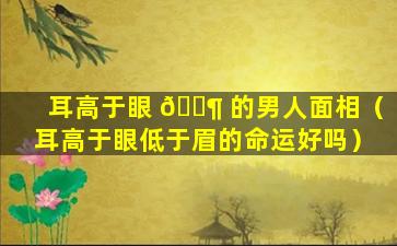 耳高于眼 🐶 的男人面相（耳高于眼低于眉的命运好吗）